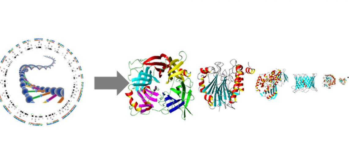 Fig 3