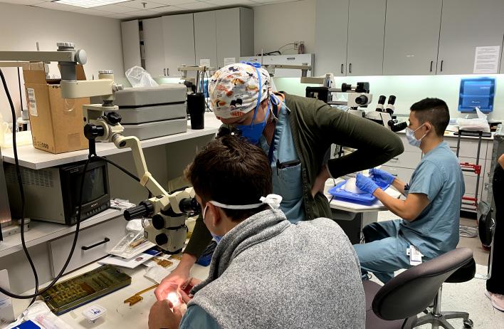 Cataract surgical wet lab â capsulorhexis