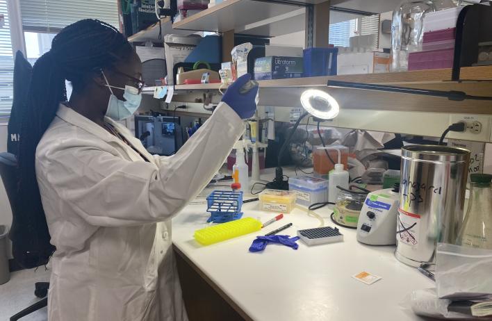 Lab bench construction completed and in operation.