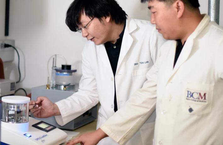 Research work in the Zhoa Wang Lab