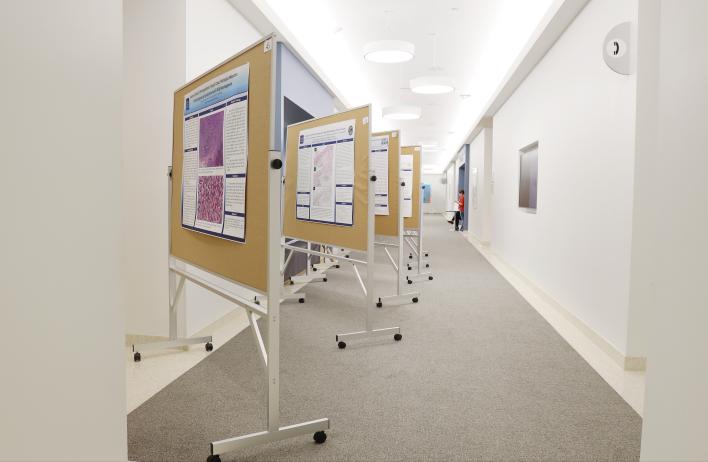 Research posters were displayed from clinical and research trainees during the 2022 Annual Pathology and Immunology Trainee Research Symposium.