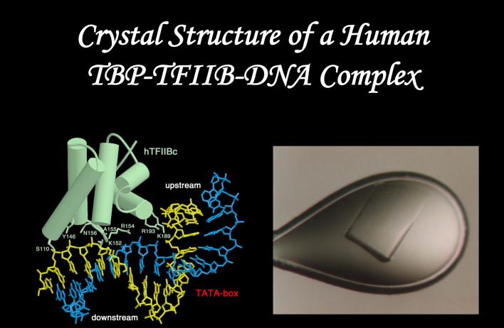 Crystal Structure of a Human TBP-TFIIB-DNA Complex