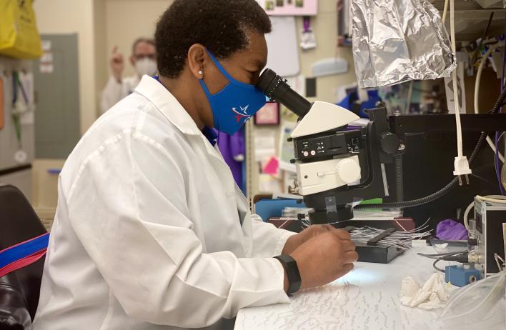 Center for Translational Research on Inflammatory Diseases member working in the lab