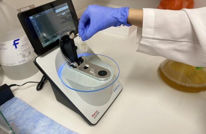 Lab member conducting research in the Pillon Lab.