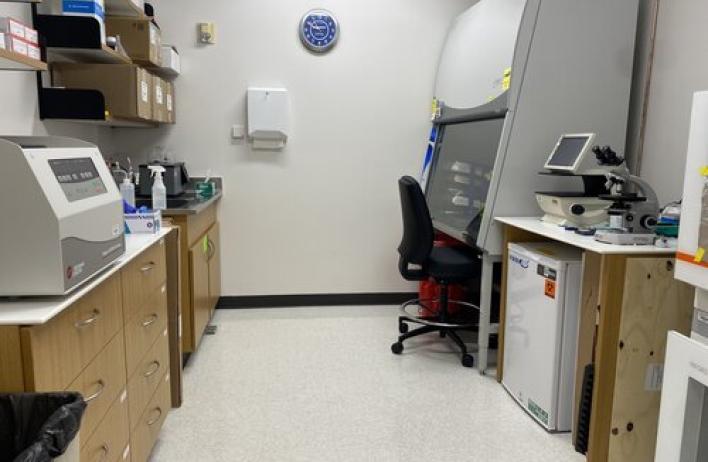 Interior workspace of the Pillon Lab.