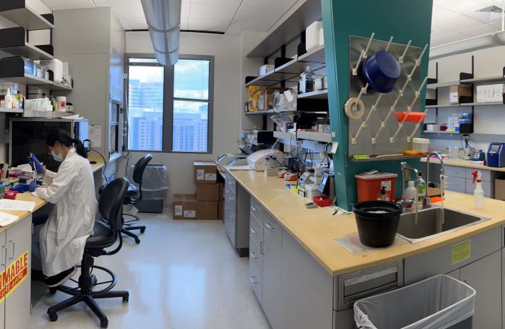 Photo of the wet lab area for the Chen Lab.