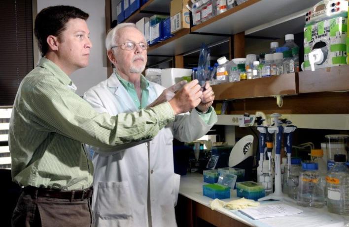 Dr. O'Malley in the research lab.