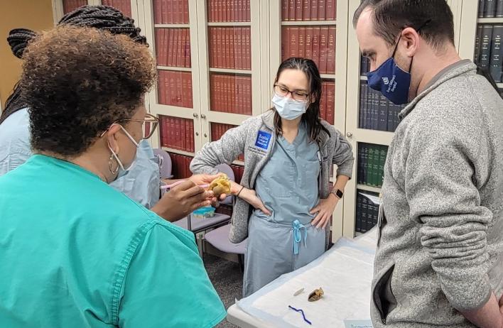 Dr. Kearney discusses cardiac anomalies with residents and fellows during an interactive session.