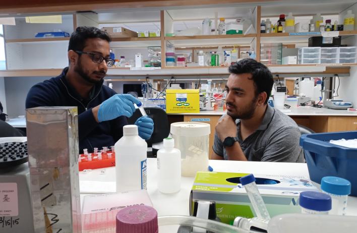 Mohit and Satadru checking samples in the lab.