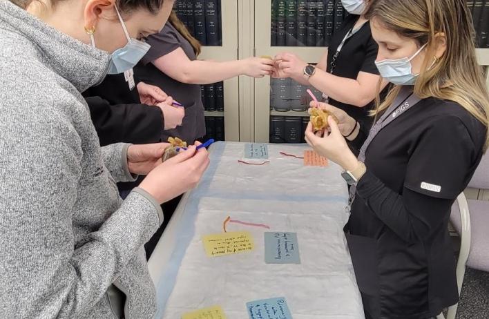 Residents evaluate cardiac anomalies during an interactive heart lab session with Dr. Kearney.