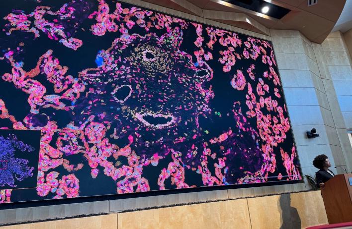 Absolutely thrilled by the incredible Barrozo Lab presentations at the 30th Annual Texas Forum for Reproductive Sciences!