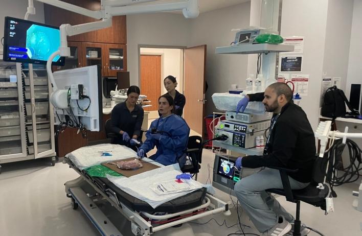 Dr. Jawaid teaching ESD to Dr Sepideh, our current ESD trainee