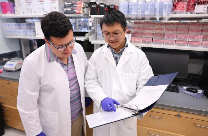 two researchers in lab