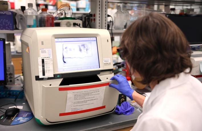 researcher looking at imaging