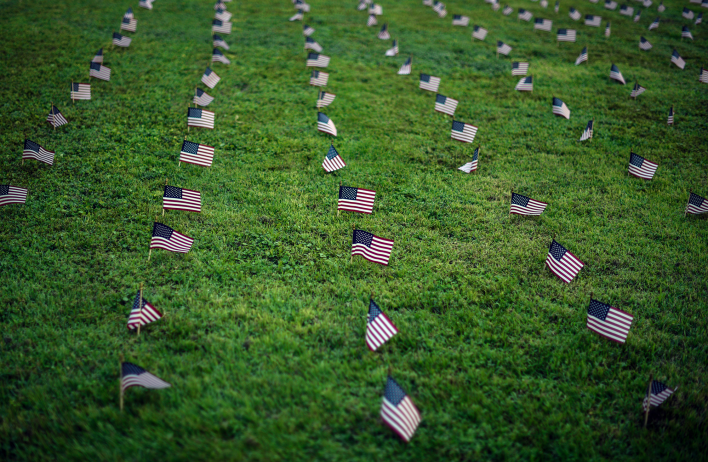 A large group of small American flags planted in rows in a green field.