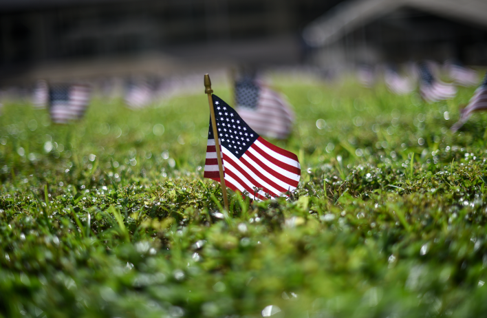 A closeup image of a small American flag planted in green grass.