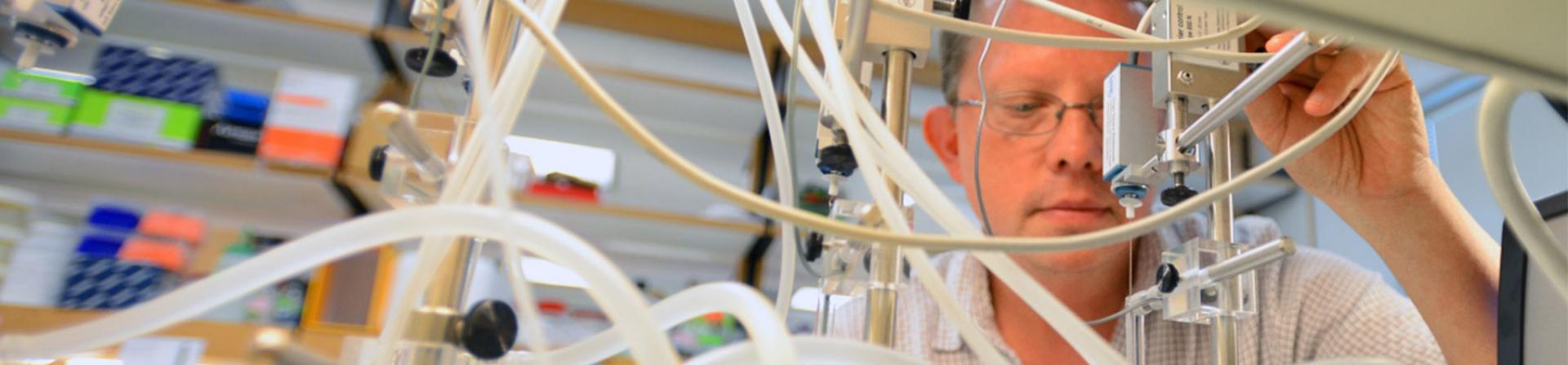 Molecular Physiology and Biophysics Banner