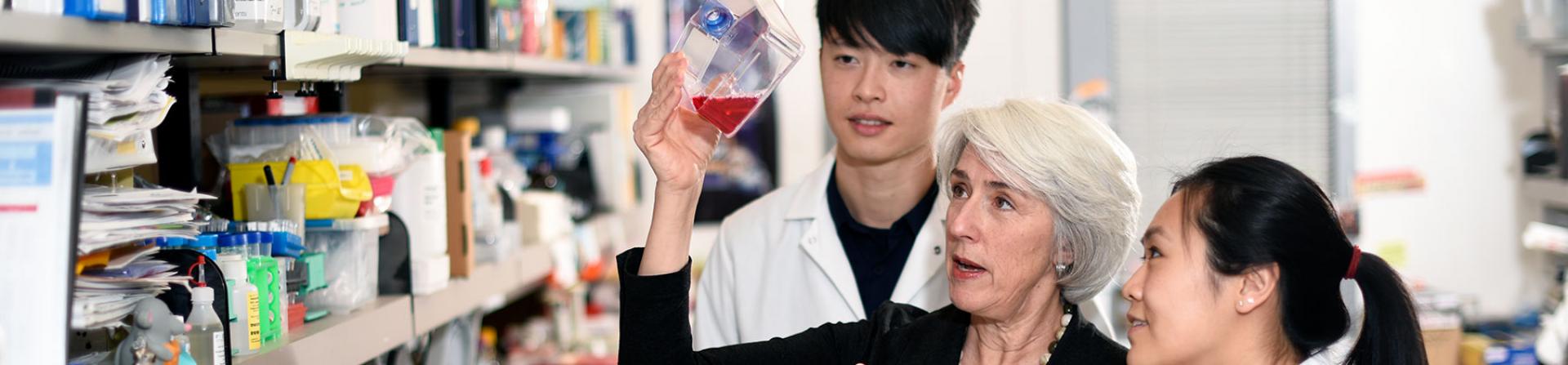 Banner for Molecular and Cellular Biology with Dr. Peggy Goodell and students