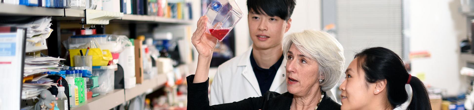 Banner for Molecular and Cellular Biology with Dr. Peggy Goodell and students