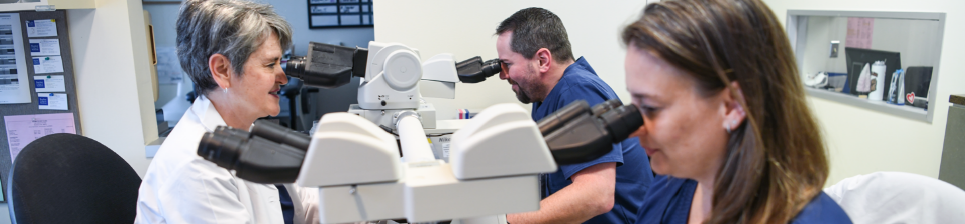 Department of Dermatology members researching with microscopes