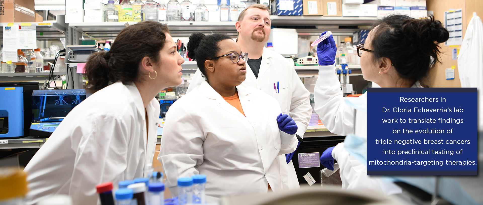 Researchers in Dr. Gloria Echeverria's lab work to translate findings on the evolution of triple negative breast cancers into preclinical testing of mitochondria-targeting therapies