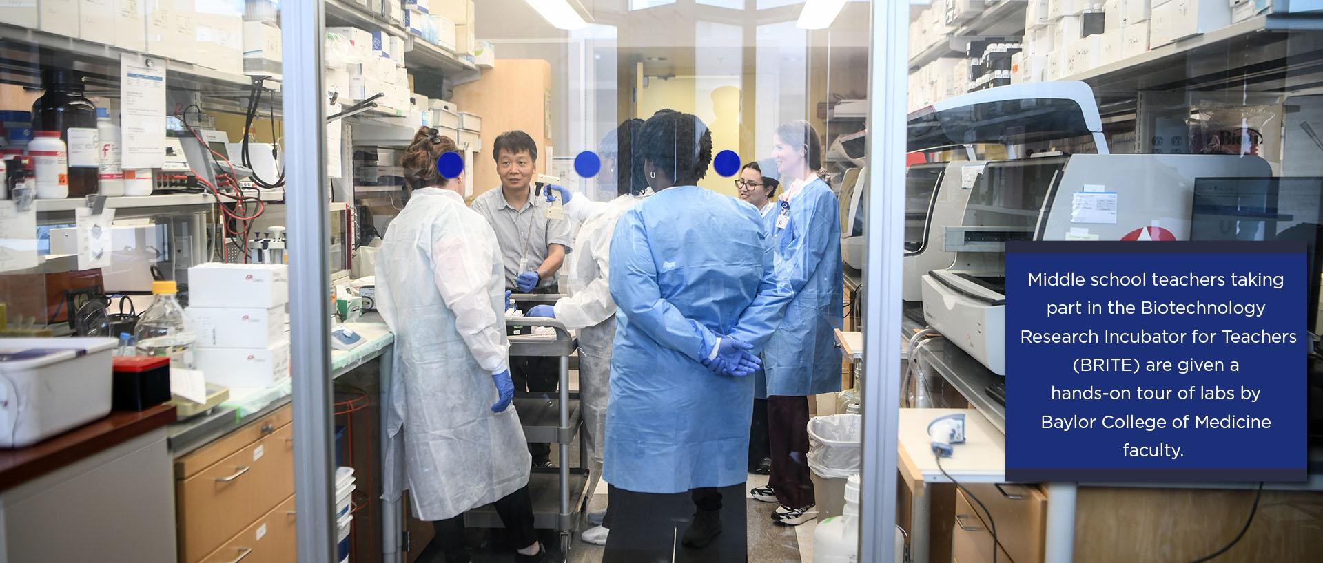 Middle school teachers taking  part in the Biotechnology  Research Incubator for Teachers (BRITE) are given a  hands-on tour of labs by  Baylor College of Medicine  faculty.  