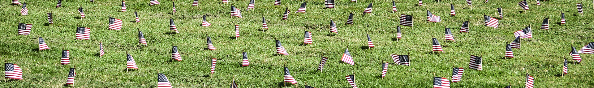 A multitude of small American flags plated into a green, grassy field.