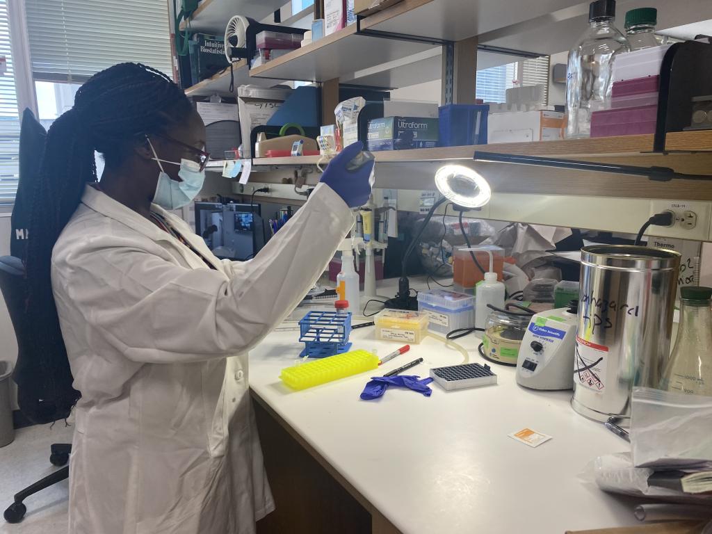 Mills Lab News | BCM