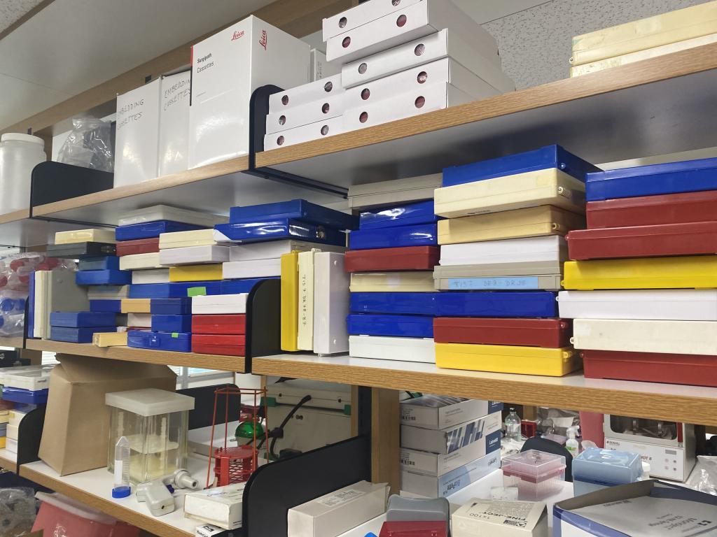 Mills Lab News | BCM