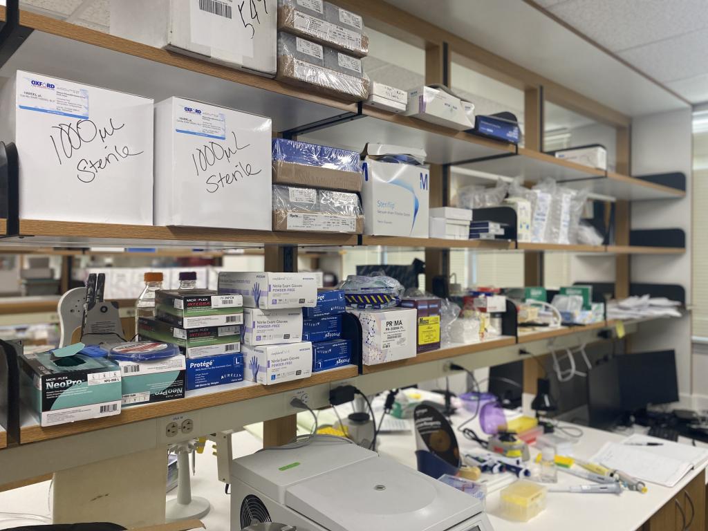 Mills Lab News | BCM
