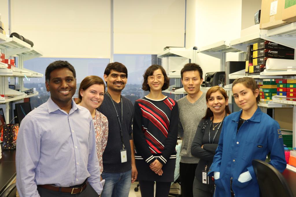 Kommagani Lab Photos | BCM