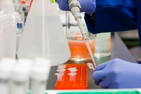A photo of gloved hands working in a lab.