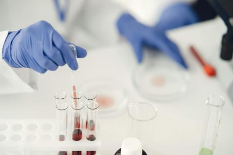 A photo of a scientist's hands, wearing blue gloves, in a lab holding colorful lique test tubes.