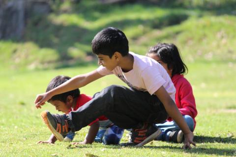 kids playing outside in the grass