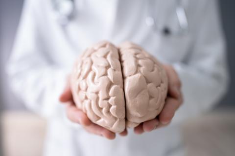 Generic Brain
