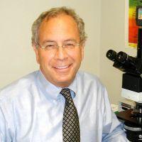 Jeffrey Noebels M.D., Ph.D.