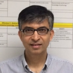 A. Hafeez Diwan, M.D., Ph.D.