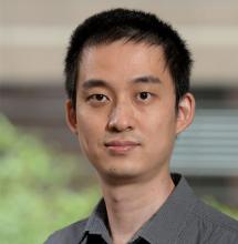 Yi Zhu