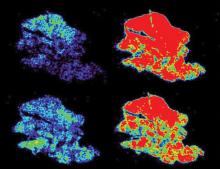 Advanced Data Analytics and Statistical Methods 