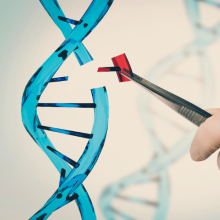 Gene Editing Testing 
