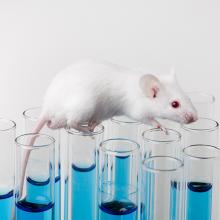 Reporter Model Testing