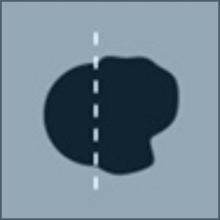 asymmetric photo of a mole