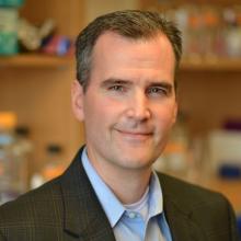 dr matt rasband 