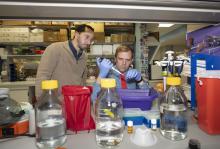 pediatric scientists in lab