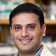 Dr. Atul Chopra, assistant professor of molecular and human genetics and molecular and cellular biology at Baylor College of Medicine.