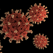 3D graphical representation of rotavirus virions.  Rotaviruses are nonenveloped, double-shelled viruses, making them quite stable in the environment.