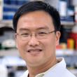 Xiang "Shawn" Zhang, Ph.D.