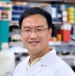 Xiang "Shawn" Zhang, Ph.D.