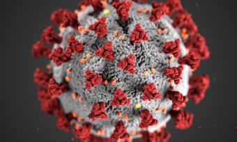 COVID-19 virus