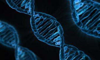 DNA twisting right